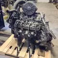 GM 8.1 Engine Assembly thumbnail 2
