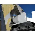 GREAT DANE 53