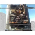 GREAT DANE 53