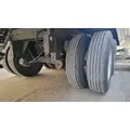 GREAT DANE 53