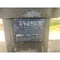 GREAT DANE 53