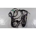 General Motors  Lamp Wiring Harness thumbnail 1