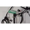 General Motors  Lamp Wiring Harness thumbnail 2