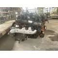  Engine Assembly GM/Chev (HD) 8.1L GAS for sale thumbnail