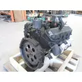 USED - ON Cylinder Head GMC 366 for sale thumbnail