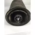 HENDRICKSON  Air Spring thumbnail 3