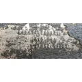 HENDRICKSON  Cutoff (Tandem) thumbnail 10