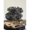 HERCULES LDT-465 Engine Assembly thumbnail 7