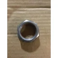 HORTON ALL Fan Clutch thumbnail 19