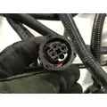 Hino 268 Body Wiring Harness thumbnail 4