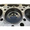 IC CORPORATION CE Short Block thumbnail 10