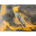 IC Corporation PB105 Fender Extension thumbnail 5