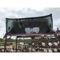 IHC PROSTAR Hood thumbnail 1