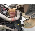 IHC PROSTAR Radiator thumbnail 2