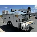 IMT 11