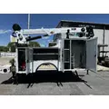 IMT 11