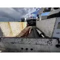 IMT 11