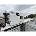 IMT 11