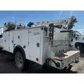 IMT 11