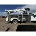 IMT 11