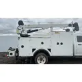 IMT 11