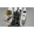 IMT 11