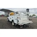 IMT 11