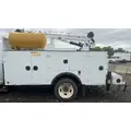 IMT 11