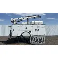 IMT 11