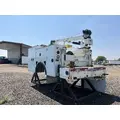 IMT 11