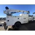 IMT 11
