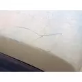 INTERNATIONAL 1654 Hood thumbnail 9