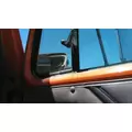 INTERNATIONAL 2500 1978-2002 DOOR ASSEMBLY, FRONT thumbnail 4