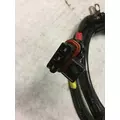 INTERNATIONAL 2554 Body Wiring Harness thumbnail 2