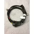 INTERNATIONAL 2554 WIRING HARNESS, BODY thumbnail 1