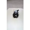 INTERNATIONAL 3000IC Windshield Washer Reservoir thumbnail 2