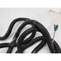 INTERNATIONAL 3518884C94 Wiring Harness thumbnail 6