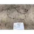 INTERNATIONAL 3554613C92 Wiring Harness thumbnail 1