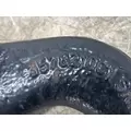 INTERNATIONAL 3578210C1 Tow Hooks thumbnail 3