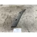 INTERNATIONAL 3596988C3 Interior Trim Panel thumbnail 1