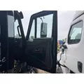 INTERNATIONAL 3687178C92 Door Assembly, Front thumbnail 3