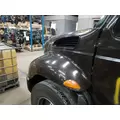 INTERNATIONAL 4200 2002-2009 HOOD thumbnail 3