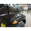 INTERNATIONAL 4200 2002-2009 HOOD thumbnail 4