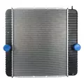 INTERNATIONAL 4200 RADIATOR ASSEMBLY thumbnail 1