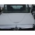 INTERNATIONAL 4300 2002-2019 HOOD thumbnail 5