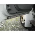 INTERNATIONAL 4300 2002-2020 DOOR ASSEMBLY, FRONT thumbnail 3