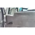 INTERNATIONAL 4300 2002-2020 DOOR ASSEMBLY, FRONT thumbnail 3