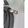 INTERNATIONAL 4300 Battery thumbnail 2