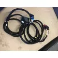 INTERNATIONAL 4300 Body Wiring Harness thumbnail 1