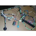 INTERNATIONAL 4300 Body Wiring Harness thumbnail 5